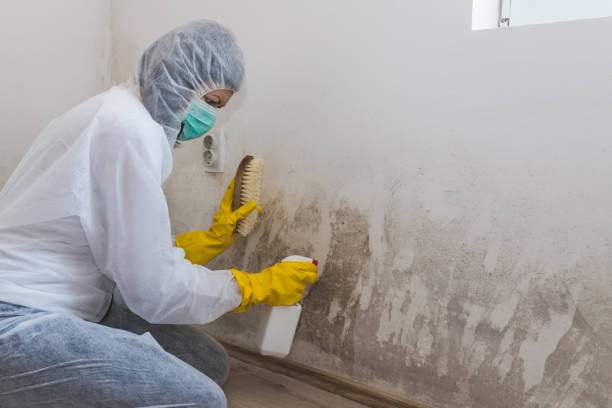 Water Damage Restoration in Belle, WV
