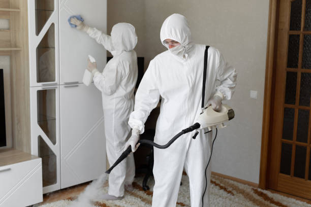 Mold Removal Process in Belle, WV