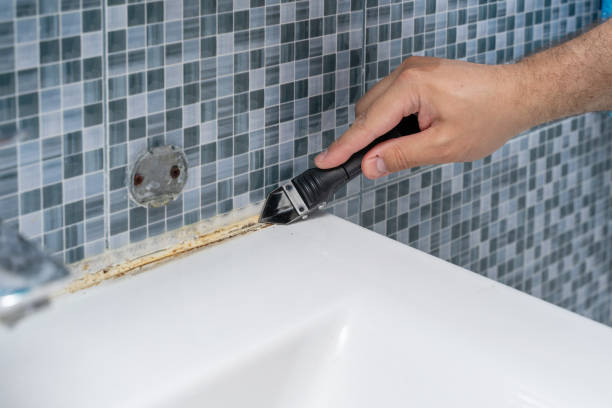 Best Office Mold Removal Services  in Belle, WV